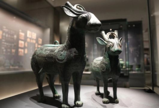 陕西考古博物馆半日游【大咖深度探秘+免预约+含耳麦】【[荣誉讲师]专业老师讲解，为您揭秘文物的前世今生！身临其境聆听文物背后的故事！】