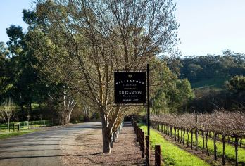 阿德莱德澎湃粉红湖+奔富一日游【中文包车/玛吉尔酒庄/接急单【[少女心炸裂]探访南半球的粉色秘境】