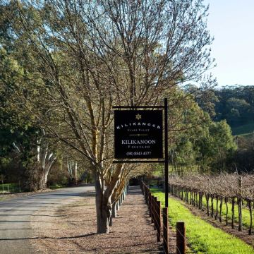 阿德莱德澎湃粉红湖+奔富一日游【中文包车/玛吉尔酒庄/接急单