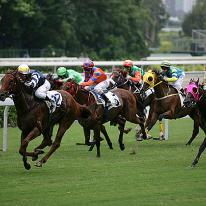 香港星光大道+太平山顶+维多利亚港+尖沙咀+香港K11 MUSEA一日游