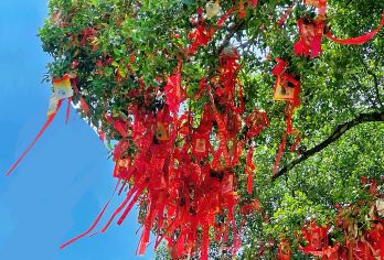 大笙说@岱庙+泰山风景区一日游◆品质小团◆可含索道/午餐【1.4m以上学生可购买成人票，持学生证可退费57元，60岁以上免票请直接拍老人价！】