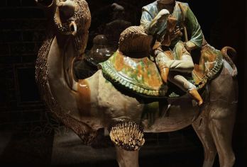 西安博物院+西安千古情一日游【赠人工讲解+无线耳麦/自由行】【打卡西安博物院，感受十三朝古都的历史，了解一座城，】