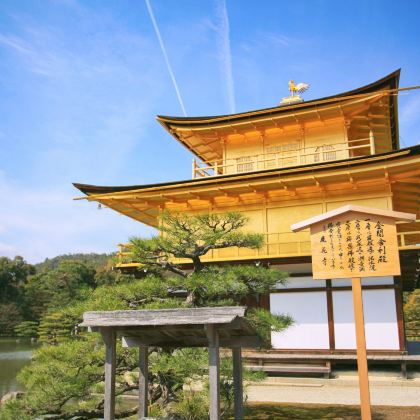 金阁寺+伏见稻荷大社+二三年坂，千年京都一日游