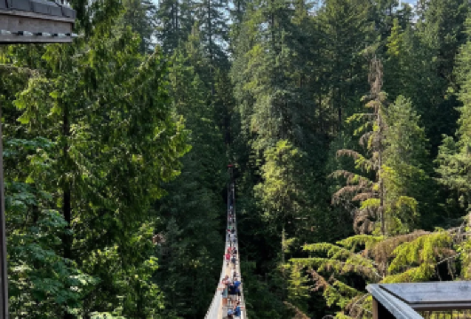 斯坦利公园＋煤气镇＋英吉利湾海滩+观景塔：温哥华包车一日游【私人订制包车游|10小时服务|景点根据您的喜好调整设计。】