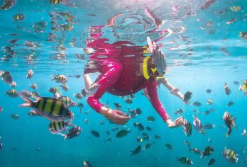 甲米出发：皮皮岛+竹子岛+玛雅湾  快艇出海|2-3次浮潜【合金快艇，舒适平稳不晕船，节省海上交通时间】