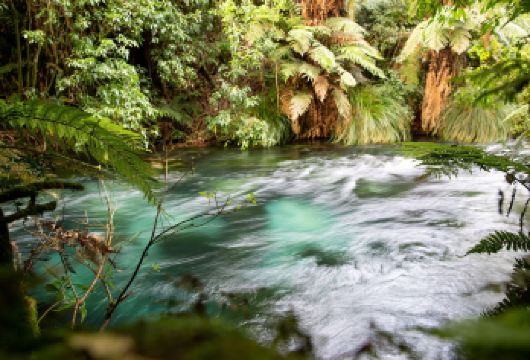 奥克兰【蓝泉+怀欧塔普地热公园+胡卡瀑布+陶波湖】【感受千帆之都的文艺与松弛，欣赏经典地标与海港风光】