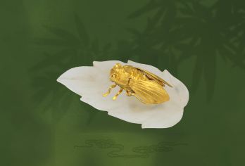 南京博物院一日游【2H深度讲解+千条好评+多套餐可选】【下单前请根据自身情况选择套餐！！！】