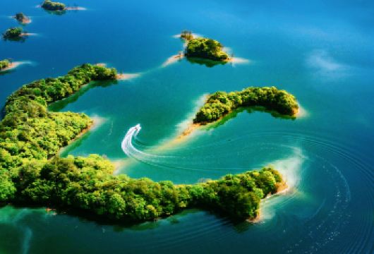 千岛湖一日游【中心湖游船+月光岛+梅峰岛】【杭州起止，纯玩无购物，天天发团】