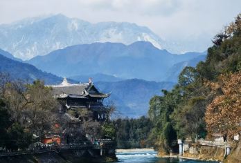 【私家团】卧龙熊猫+都江堰+仰天窝+蓝眼泪一日游【[私家出行，不与陌生人拼团]】