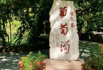 吐鲁番全景动车一日游【2 人起天天发团，支持私人定制小团，无需长时间等待拼团。】