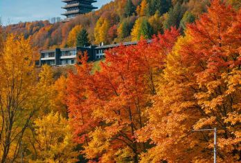 【精致私享包团】牛首山文化旅游区2小时导游人工讲解【[精品小团]精品小团，拼团的价格，私家团的体验！】