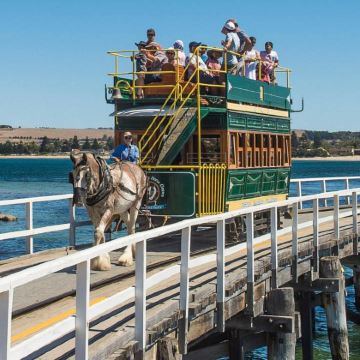 南澳阿德莱德菲尔半岛 魔幻奇趣 黛伦堡+维特港 中文一日游