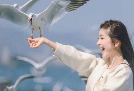 昆明滇池+西山风景区+海埂公园+官渡古镇+斗南花市 一单一团【独立私家团：保证游玩时间，不赶时间】