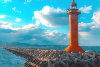 济州岛东线一日游｜牛岛经典线【牛岛+城山+涉地可支+月汀里】【韩国济州岛牛岛，城山日出峰，涉地可支，月汀里海边，网红打卡，中文服务｜市区范围酒店可接】