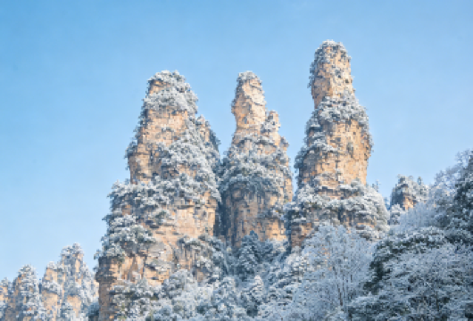 【巨划算】张家界国家森林公园（阿凡达）一日游 极至性价比【[尊享礼遇]淡季臻选！比价更具优势，包接包送+导游全程陪同，超优价格解锁高品质张家界纯玩体验】