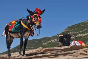 山西黄河壶口瀑布一日游【天天发团  多点位上车 景区直通车】【纯玩，12月20日-2月10日前免门票】