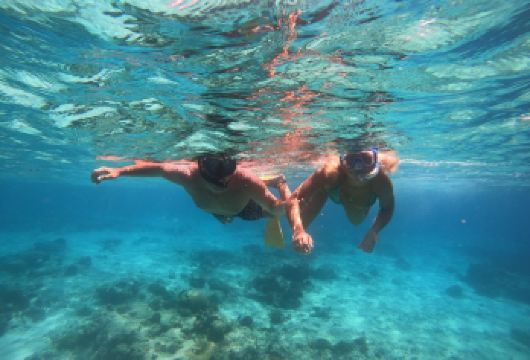 龙目岛出发探索吉利群岛：特拉旺岸岛、美诺岛和艾尔岛浮潜之旅【一日畅游吉利三岛（特拉旺干岛、梅诺岛、艾尔岛），自由探索各岛风光 漂浮在美丽的绿松石色海水和珊瑚花园之上 潜入吉利三岛的海域浮潜，与漫游的海龟和五彩斑斓的鱼儿嬉戏】