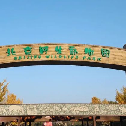北京野生动物园一日游