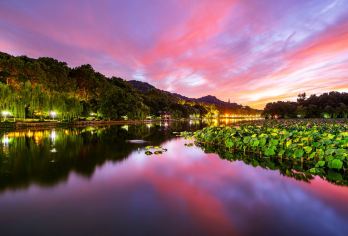 杭州日游：西湖+雷峰塔+灵隐寺 |专业导游【中英俄法德西】#【拒绝走马观花式游览，资深导游一站到底式管家】