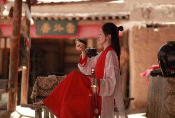 【纯玩小团】镇北堡西部影城+贺兰山岩画+西夏陵宁夏银川一日游【在镇北堡影视城《大话西游》拍摄地，打卡至尊宝与紫霞深情对视的城门楼，回顾电影场景，体验孙悟空的爱情。】