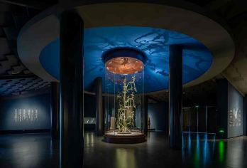 三星堆博物馆+都江堰景区2-8人小团一单一团独立用车一日游【[优质交通]出发时间自由，亲子游必选成都三环内任何地方或者酒店免费上门接送】