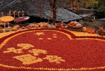 晒秋·楠溪江·林坑古村+陶公洞+红枫古道+苍坡古村包车1日游【车辆正规营运车辆，手续齐全，干净卫生，更宽，更舒服；】