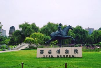 西安博物院+小雁塔半日游【门票+深度人工讲解+耳麦】【[预约服务]预约成功率高，省心省力，】