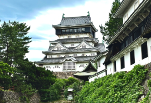 日本舞鹤公园-福冈城遗址-雷山千如寺-百道海滨公园一日游包车【名城樱花 × 千年古寺巨樱 × 现代海岸线夕阳】