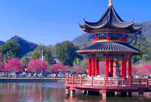 韶关新丰樱花峪+东华禅寺+踏青赏花祈福一日游|包车游上门接送【私家旅行：一单一团，不拼客，享专属旅行；品质服务：车上门接送，专职司机护航】