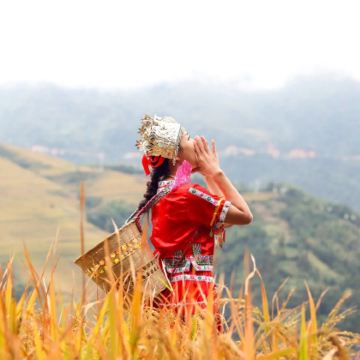 桂林龙脊梯田+黄洛瑶寨+金坑梯田+金佛顶一日游【8人小团】