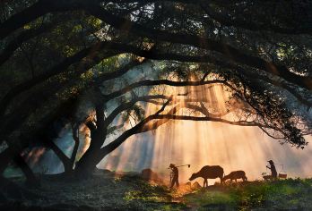 【北岐+杨家溪+小皓+东壁  2人起接 】【[本地老牌]霞浦正规资质旅行社一手地接，无转包，全程服务跟踪】