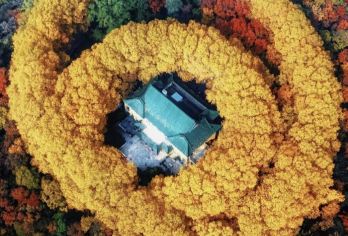 南京：博物馆+明孝陵+美龄宫+中山陵一日活动  景点可定制G【全程中文/英文/俄语/小语种服务，沟通无障碍，景点可调,多种车型可选】