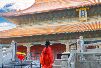 孔府孔庙人工讲解2.5H（孔家后人带您沉浸式解读千年文脉）【精品小团/不含门票/耳麦/孔家后人】