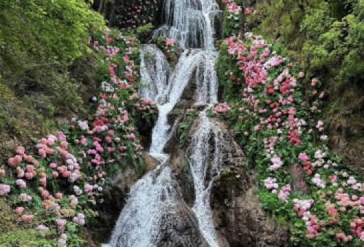 洛阳重渡沟一日游【独立用车-时间私自定-上门接送-包车游】【[游玩时间充裕]私人定制 时间自由小团省去等待其他游客时间，不用与其他客人拼团，独立用车，一单一团】