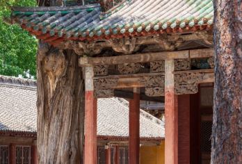 长治或晋城出发陵川巡礼南/北吉祥寺+崔府君庙+崇安寺+二仙庙【晋城陵川是被低估的古建王国，一日看遍5处国宝，西溪二仙庙梳妆楼因黑悟空走红，此行必要惊艳你的视觉。】