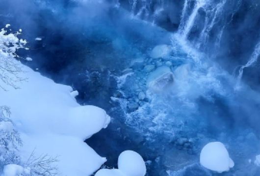 日本北海道旭山动物园+青池一日游/行程可调-可定制多日【包车一日游，解锁旅行新方式！独立车辆配备经验丰富的老司机，为您量身打造专属行程。】