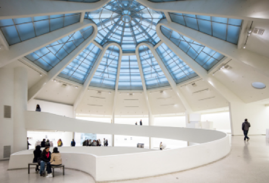 古根海姆博物馆+现代艺术博物馆+时代广场+华尔街+自由女神像【[费用包含]一站全包服务-无需支付司机小费-餐费-过路费（不包含门票+导游费用）-包车时长10小时】