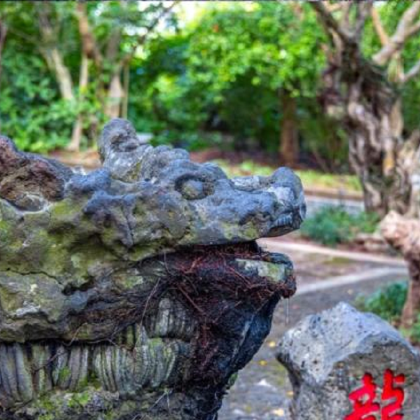 海口：火山口公园和永庆寺之旅