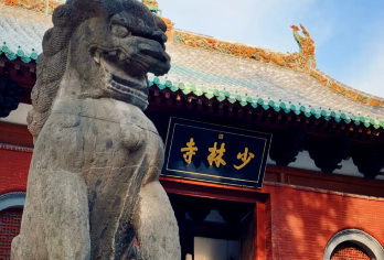 河南少林寺+洛阳白马寺一日游【纯玩团|拼团游】【打卡释源白马寺与禅武少林，览千年古建与多国风格佛殿。】