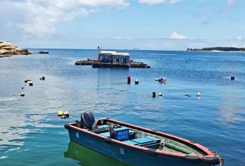 汕尾包车9小时一日游｜打卡红海湾+玻璃海风车岛+海上古堡【[接送范围]汕尾城区/汕尾站均可上门接送，超出区域需加收费用，可咨询在线客服】