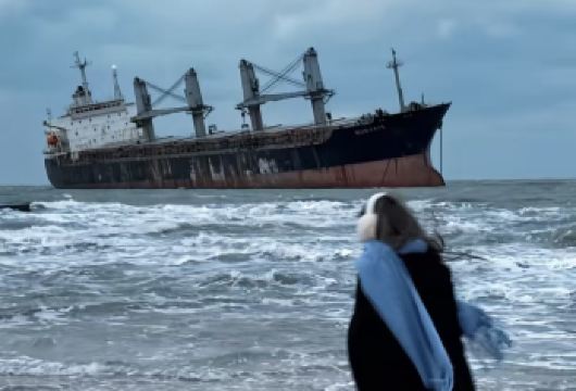 威海火炬八街+布鲁维斯+孤独公约+天鹅湖等精华景点纯玩打卡游【送海鸥食天鹅食+沉船拍摄道具使用】