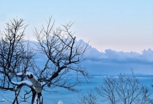 日本札幌-小樽网红景点/可登别富良野北海道多日包车-精选【包车一日游，解锁旅行新方式！独立车辆配备经验丰富的老司机，为您量身打造专属行程。】