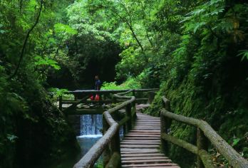 从成都出发：青城山+街子古镇+普照寺 中英俄德意法日韩导游C【[暖心服务]独立包车，省心出行，中文司机，行程可调】