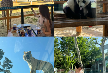 西霞口神雕山野生动物园一日游【烟台出发·萌宠出动·亲子度假】【[感受秀丽风景！]动物园位于美丽富饶的龙眼湖畔，风光迤逦，景色秀人，是一家放养式野生动物园。】