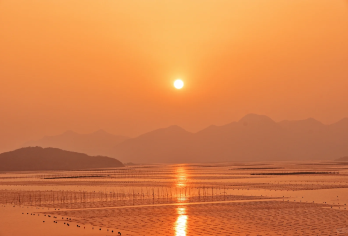 东山岛+南门湾+苏峰山环岛公路+鱼骨沙洲一日游【精品大团】【[服务保障]本地旅行社，自有车队，全程贴心服务，纯玩0购物0自费！】