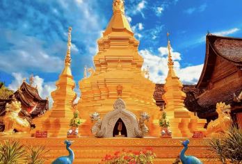 中科院热带植物园+傣族园一日游2-8人团+真纯玩不进店【[版纳故事官]带咱们边看边听，深度游玩！让雨林的美景养眼，让尘封的故事入味，一次旅行，收获双重享受。】