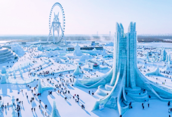 全程英文讲解哈尔滨冰雪大世界+东北虎林园一日游赠送中餐饺子宴【[品质保证]哈尔滨一手地接，自家发车，不倒团，不卖团，一人也成团，品质纯玩团，无强制消费，消费透明】