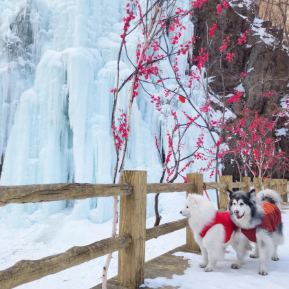 沈阳出发本溪关门山国家森林公园包车一日游（本地靠谱口碑司机）