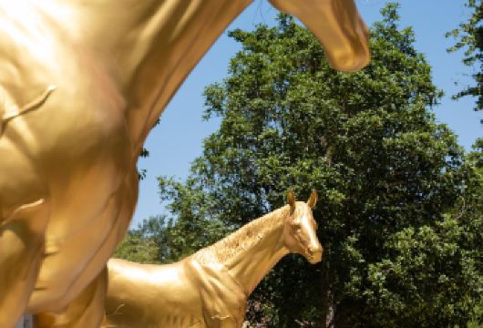 洛阳龙门石窟+白马寺+洛阳博物馆一日跟团游【一日畅览洛阳精华！龙门石窟的佛像、白马寺的钟声、博物馆的珍藏，速来开启文化盛宴。】
