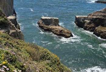 美国旧金山+经典一号公路路线一日游/行程可调-可定制【专属客服和本地中文司机，一家一团包车】